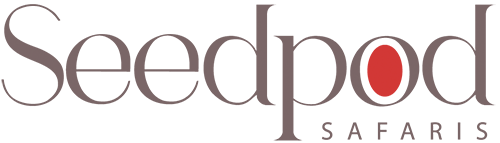 Seedpod
